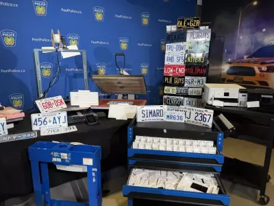 Two Hamilton Brothers Accused of Running Online Counterfeit Licence Plate Ring
