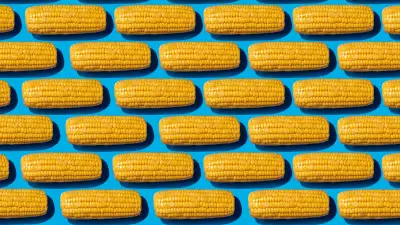 Why Corn Appears Whole in Stool: Doctors Explain the Science