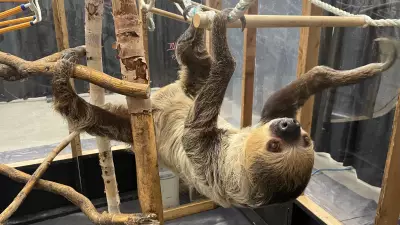 Wildlife Festival in Regina Showcases Over 50 Exotic Animals This Weekend
