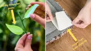 17 Amazon Canada Products Under $20: Budget-Friendly Finds