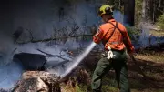 5 Active Wildland Blazes Remain in Northeastern Ontario