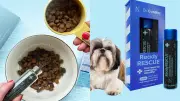 Activated Charcoal for Pets: A Life-Saving Emergency Tool