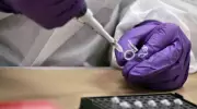Alberta to Build First Provincial Forensic DNA Lab in Western Canada