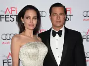 Angelina Jolie Wins Legal Battle Over Winery Dispute with Brad Pitt