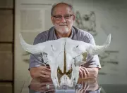 Archaeologist Reflects on Decades at Head-Smashed-In Buffalo Jump