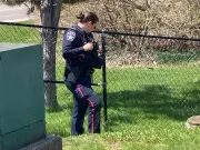 Barrie Police Respond to Stabbing Call; One Person Hospitalized