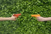 Barrie Police Warn of Risks from 'Senior Assassin' Game Replica Guns