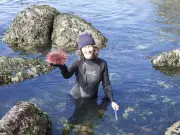 B.C. Chefs Turn Invasive Species into Delicious Dishes for Conservation
