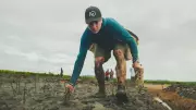 B.C. Man Sets Two Guinness World Records for Tree Planting in 24 Hours