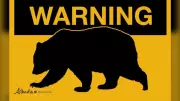 Bear Warning Issued for Kananaskis After Grizzly Bluff Charges Hiker