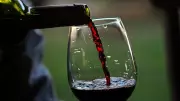 Billions could be added to Canada's GDP if winery barriers addressed: report