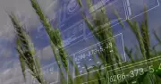 BlackSwan Cyber Group: Building a Vendor-Neutral Firm with Mentorship Culture in Saskatchewan