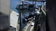 Body Found in Vancouver's False Creek: Police Investigation Underway