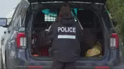 Body Pulled from Montreal River Identified as Missing Teen Who Fell Through Ice