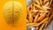 Brain Reacts to Snack Cues Even When Full, Study Finds
