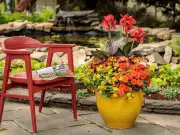 Brian Minter: Keys to a Colourful Garden – Soil Success Tips