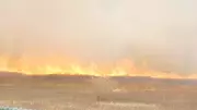 Calgary Firefighters Douse 4-Acre Grass Fire in Northeast