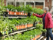 Calgary Gardeners: Tips for Drought-Resistant Plants and Eco-Friendly Yards