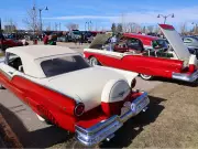 Calgary Police Enforce Zero-Tolerance Policy at Car Shows and Meet-Ups