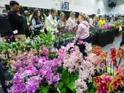 Calgary Weekend: 4-H Parade, Bike Giveaway, Orchid Show, and Rain