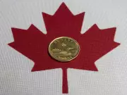 Canada Doesn't Need Digital Loonie, It Needs Digital Competition