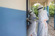 Canada Should Help Fight Ebola at Source: Expert Urges Action