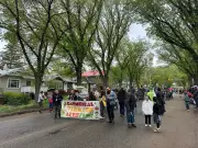 Cathedral Village Arts Festival Marks 35 Years with New Partnership