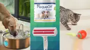 Chewy vs Amazon: Pet Deals That Will Make You Switch