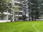 Child Dies After Falling from North York Apartment Building