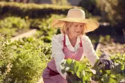 City Gardener: Gardening Safety Tips to Avoid Injuries and Stay Safe