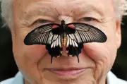 David Attenborough, Voice of Nature, Celebrates 100th Birthday