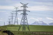 Discussion paper floats ways Ottawa can fund giant electrical grid buildout