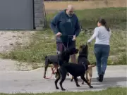 Dog Attack in Amherstburg Leaves Mother and Daughter Injured and Shaken