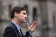 Eby Questions Ottawa's Focus on Pipeline Over BC Softwood Lumber