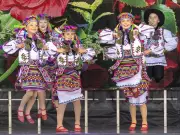 Edmonton Ukrainian Fest, Cat Fest, Drag Fest and Tekkonkinkreet: Fun Events