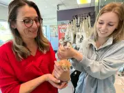 Eight Kittens Rescued After Being Left in Tied Bag Outside Chatham Shelter