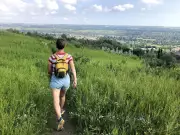Explore Urban Wilds: Patterson, Paskapoo Slopes & Cougar Ridge Walk