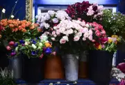 Florists Get Creative with Bouquets This Mother's Day as Costs Climb