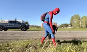 Fredericton's 'Spider-Man' Picks Up Garbage, Spreads Joy in Community