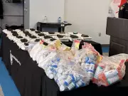 Halton Police Seize 24 Firearms in Largest Gun Bust in Service History
