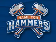 Hamilton Hammers: New AHL Team Name Unveiled in Steeltown