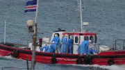 Hantavirus Outbreak on Cruise Ship: 3 Dead, Patients Evacuated to Netherlands