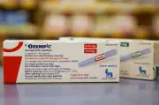 Health Canada Approves Second Generic Ozempic from Canadian Firm