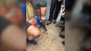 Hikers in Shorts Rescued from Snowy North Shore Alpine Trail