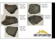 HM Exploration Begins Drilling at Lewis Pilley's Project Targeting High-Grade Copper