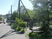 Japanese Man Arrested After Wife Incinerated at Zoo