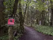 Jogger Attacked by Black Bear on Squamish Trail, Officers Warn Public