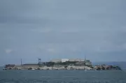 Male coyote swam over 3 km to Alcatraz Island, surprising biologists