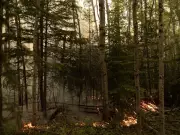 Man pleads guilty to arson in Weyakwin wildfire, sentencing set for May 7