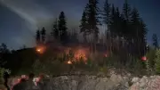 Maple Ridge Wildfire Burns Out of Control, No Threat to Properties Yet